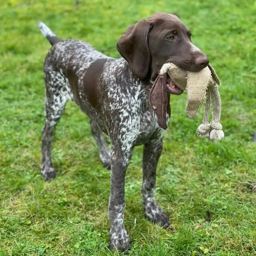 Green & Wilds | Eco Dog Toy - Desmond The Duck