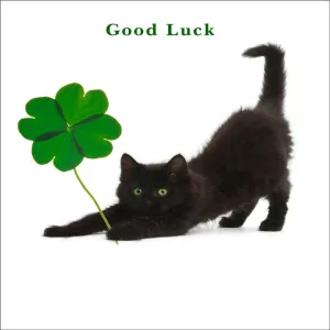 'Lucky Clover' Cat Greeting Card