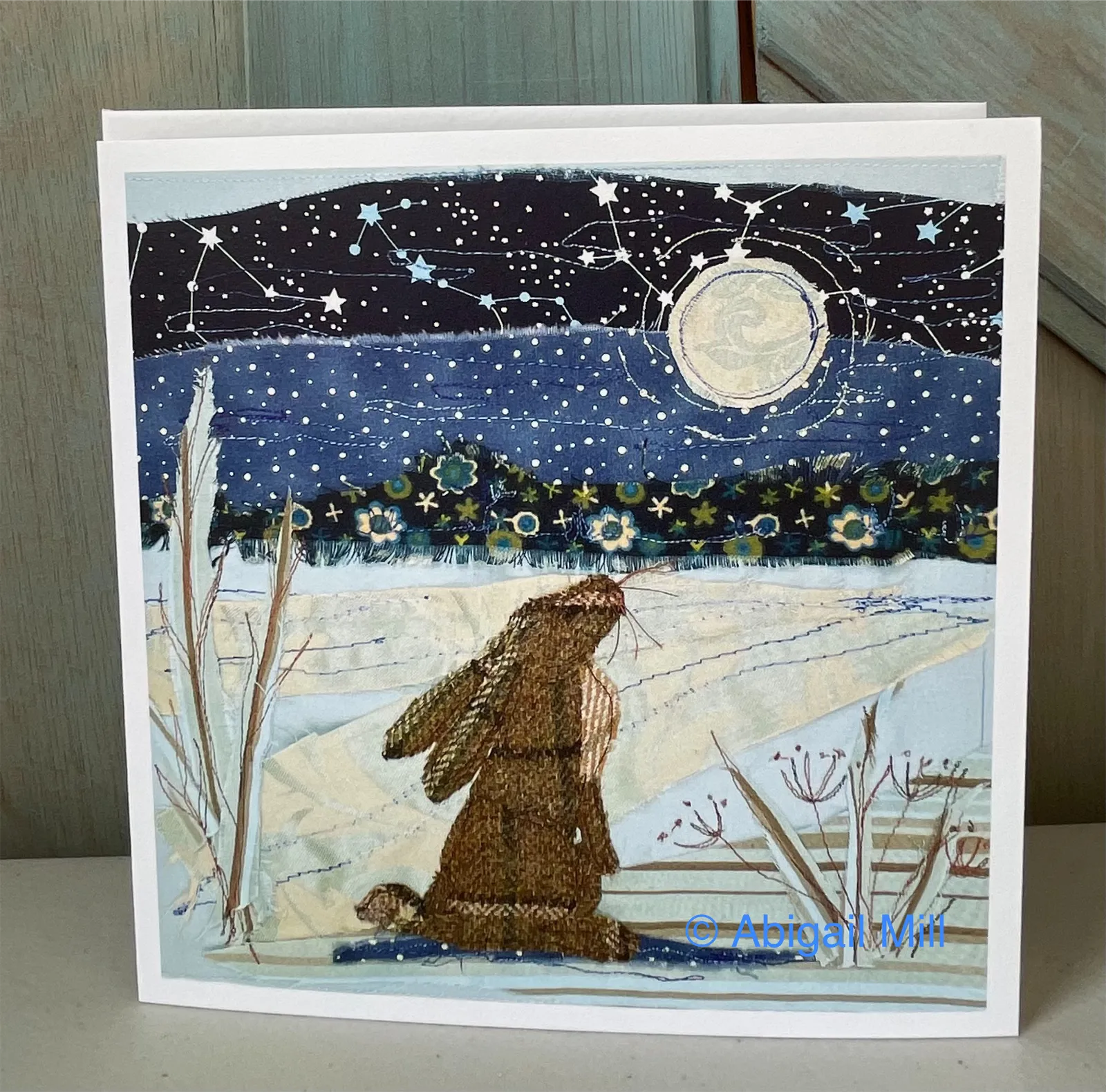 Midnight Wildlife Greetings card Set